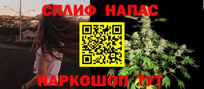 МДПВ Будённовск