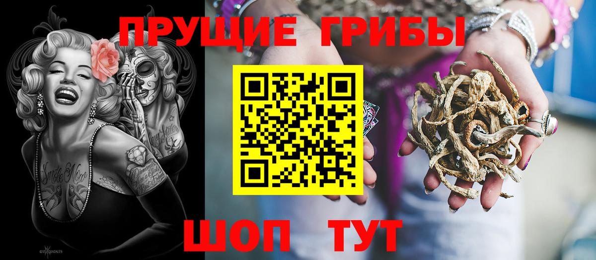 Псилоцибиновые грибы Psilocybe Кольчугино